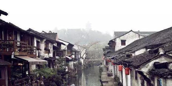 植物大战僵尸19